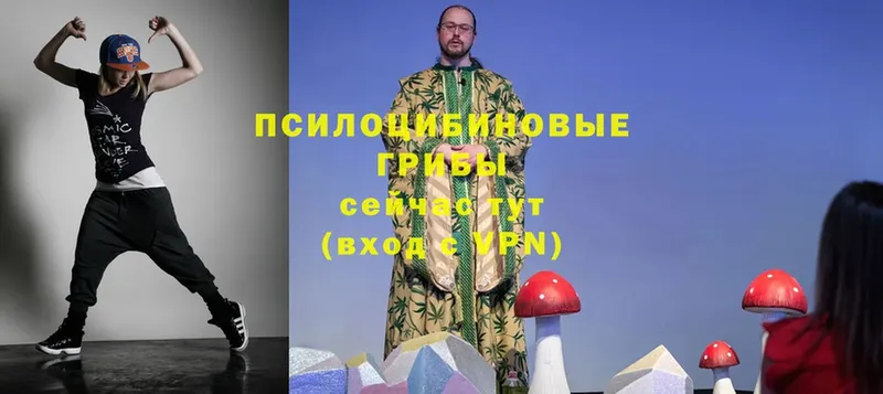 Псилоцибиновые грибы Magic Shrooms  Северодвинск 